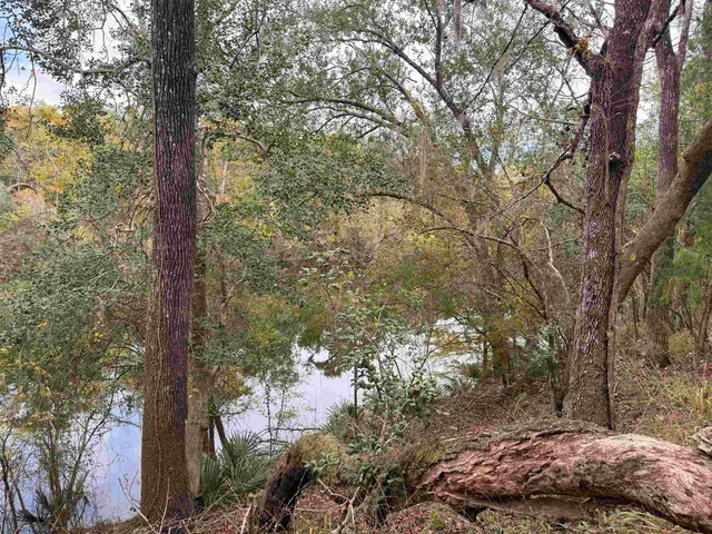 $75,000 | 526 Northeast N Riverbend Way, Pinetta, FL 32350