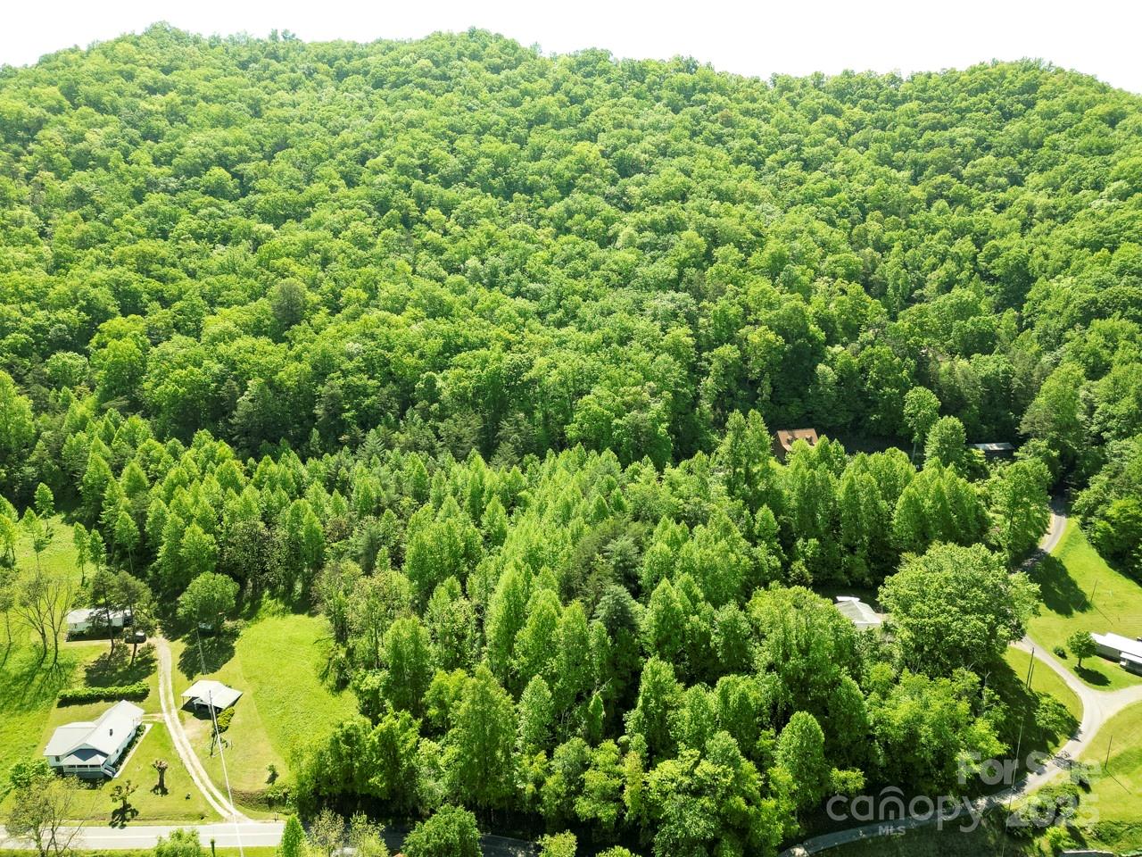 Off Of Locust Crk Road Sylva, NC 28779 - Photo 11 of 20 a view of a garden