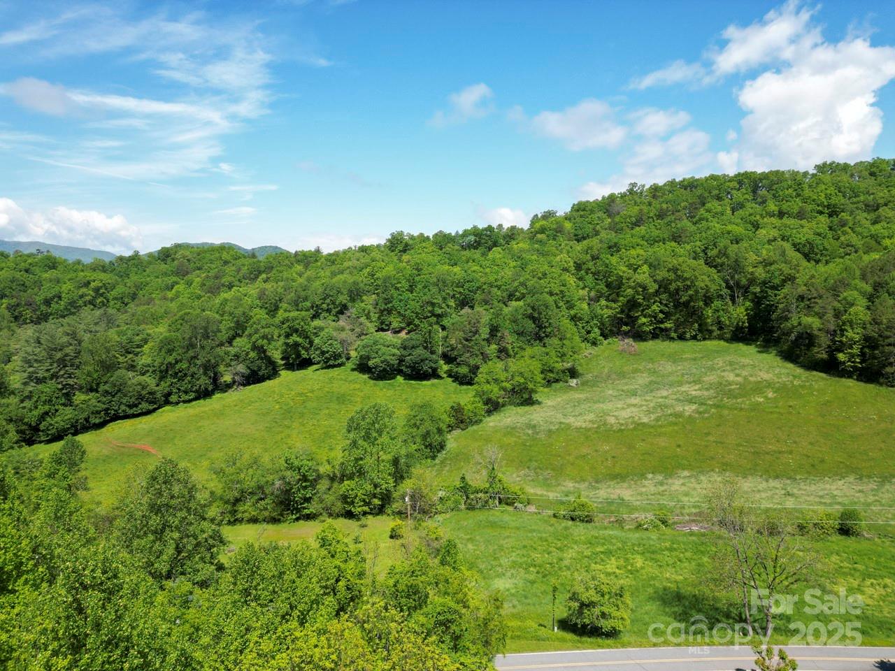 Off Of Locust Crk Road Sylva, NC 28779 - Photo 13 of 20 a view of a big yard with large trees