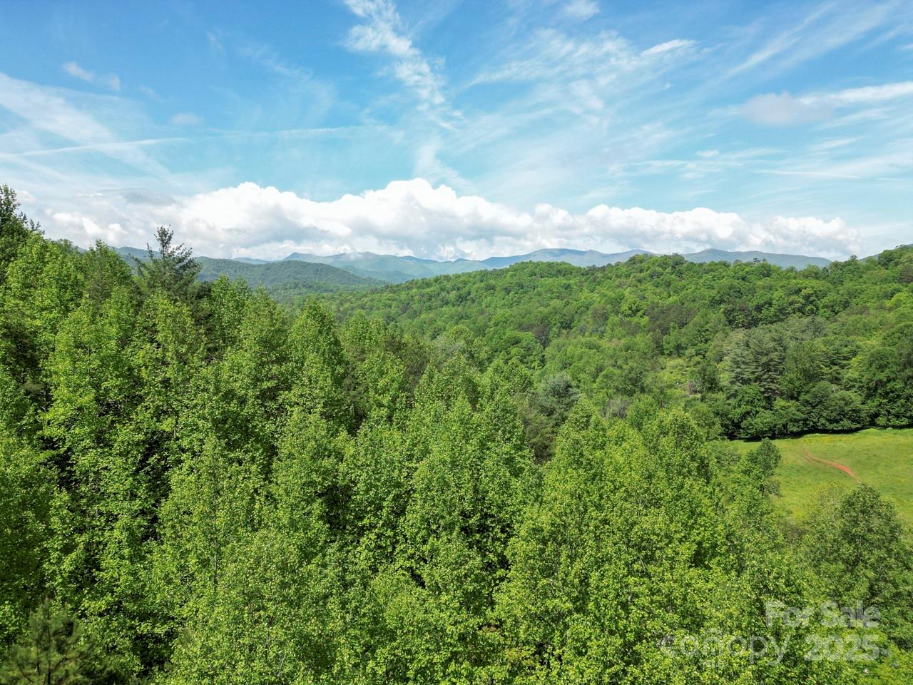 Off Of Locust Crk Road Sylva, NC 28779 - Photo 14 of 20 a view of a lake in between the field