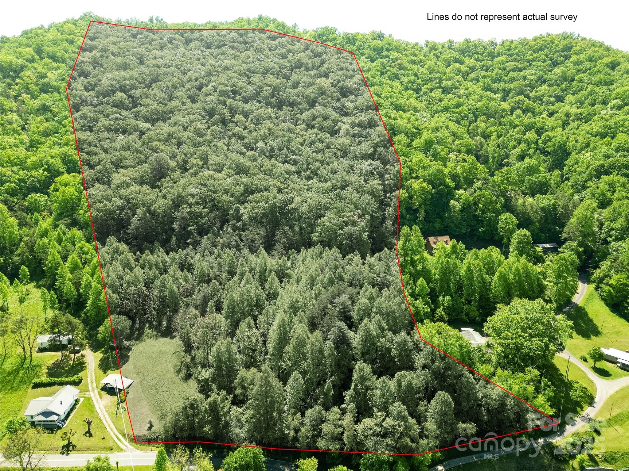 Off Of Locust Crk Road Sylva, NC 28779 - Photo 16 of 20 a view of a bunch of trees and bushes