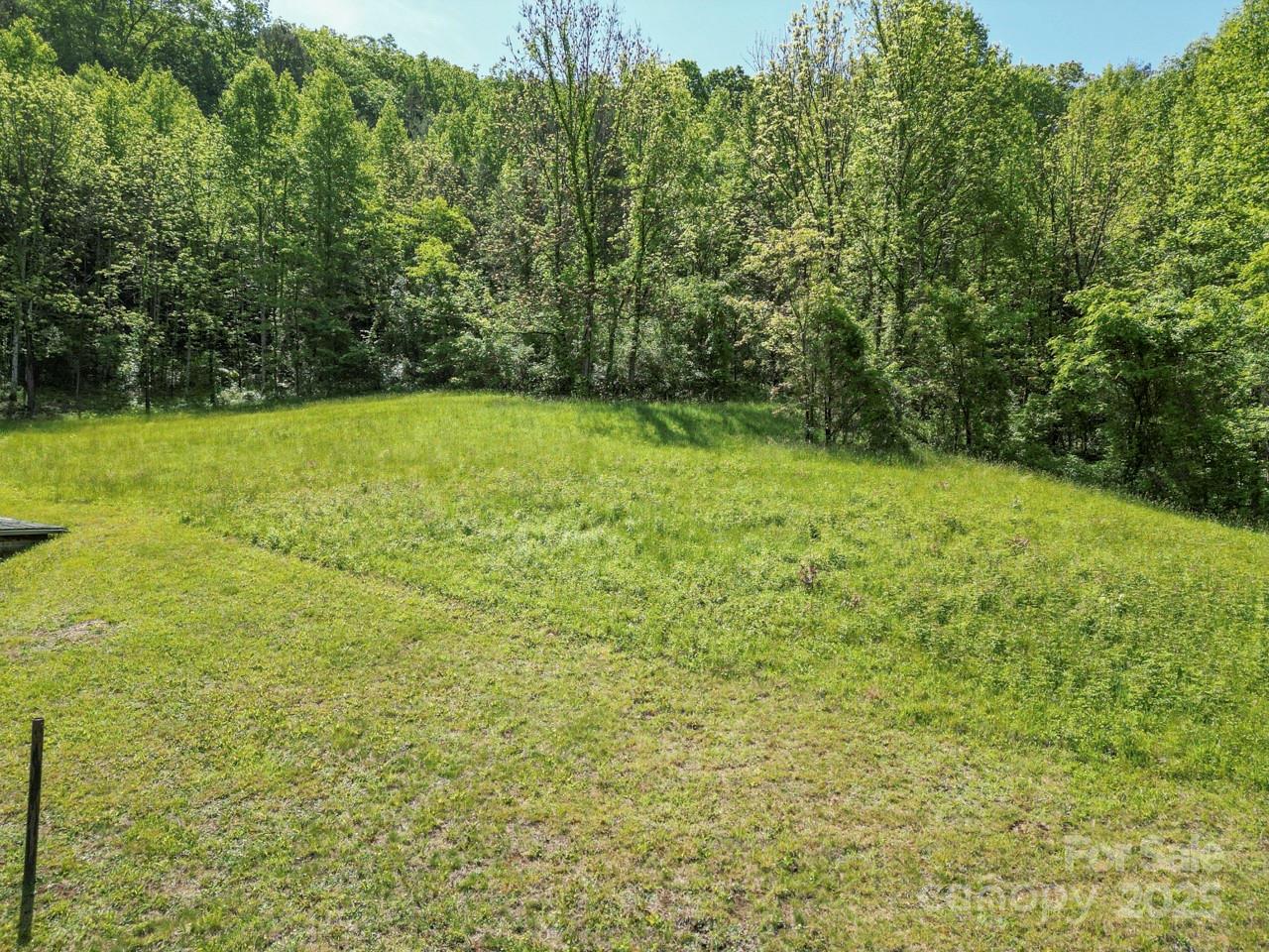 Off Of Locust Crk Road Sylva, NC 28779 - Photo 18 of 20 a view of a yard with a trees