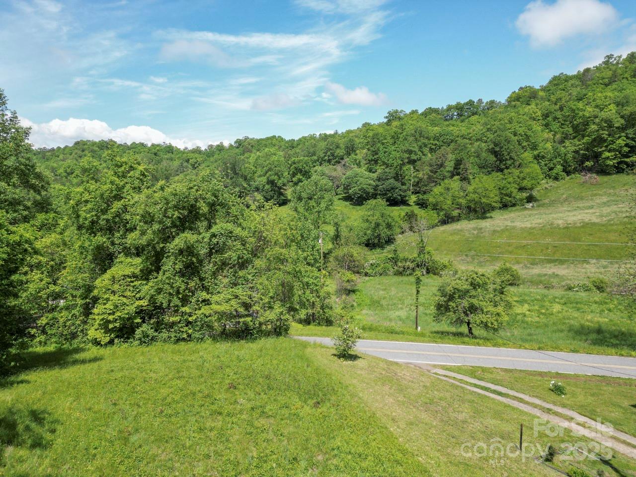 Off Of Locust Crk Road Sylva, NC 28779 - Photo 20 of 20 a view of a green yard with lots of bushes