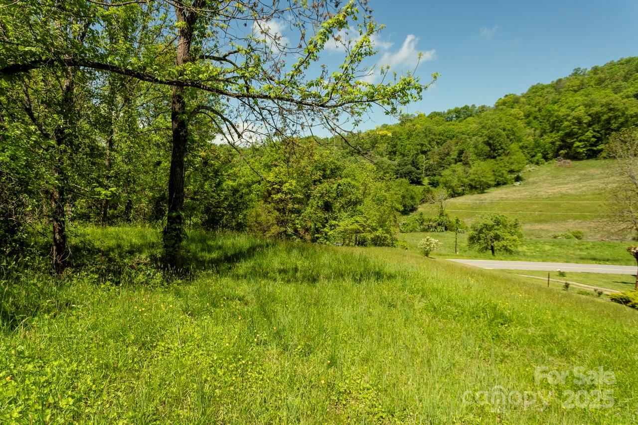 Off Of Locust Crk Road Sylva, NC 28779 - Photo 4 of 20 a view of yard with green space