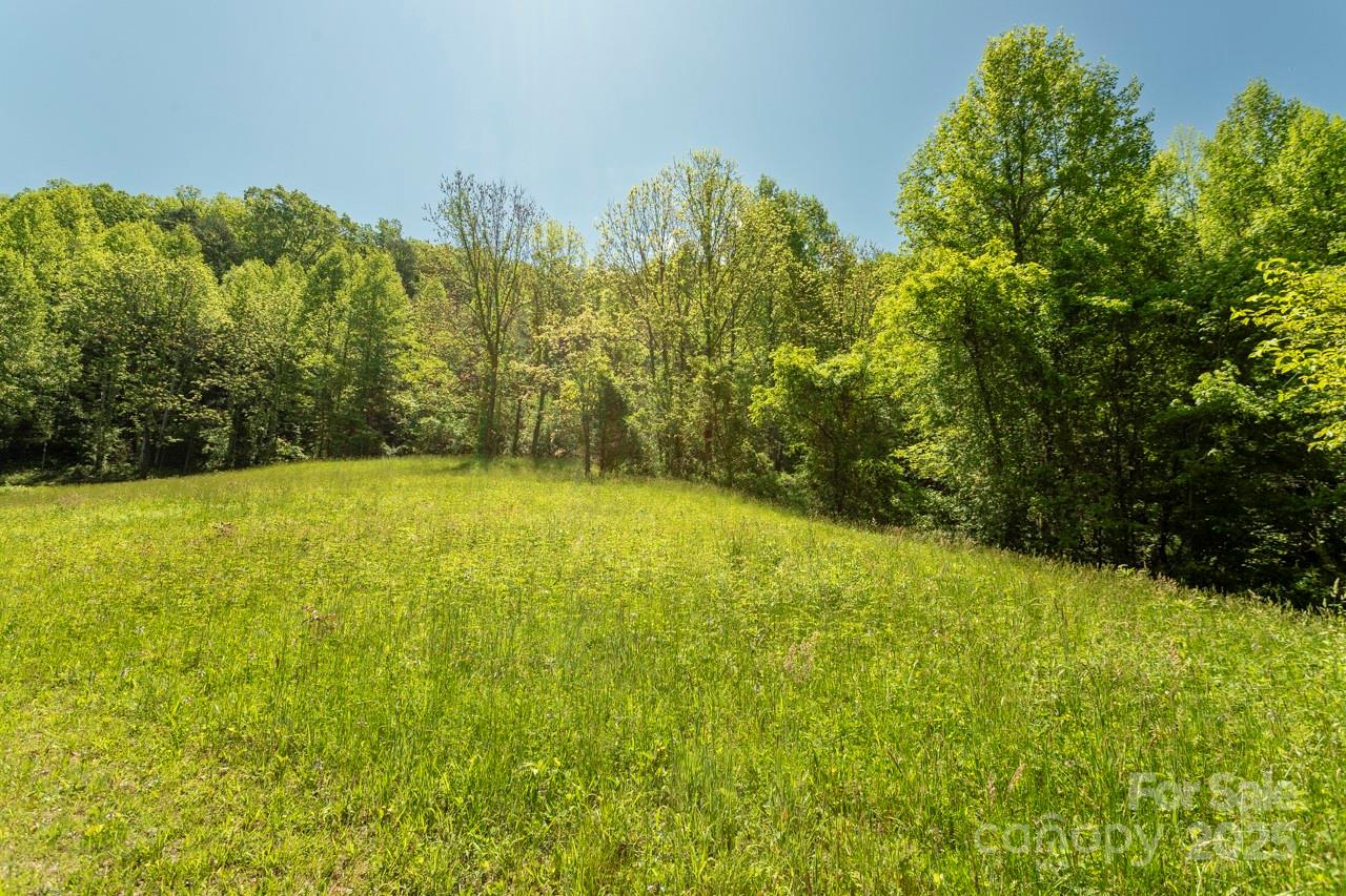 Off Of Locust Crk Road Sylva, NC 28779 - Photo 7 of 20 a view of an outdoor space and a yard