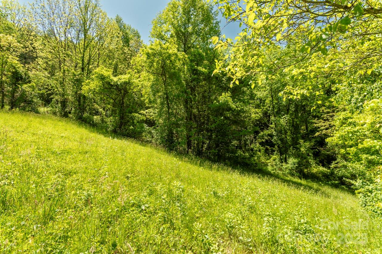 Off Of Locust Crk Road Sylva, NC 28779 - Photo 9 of 20 a view of a yard