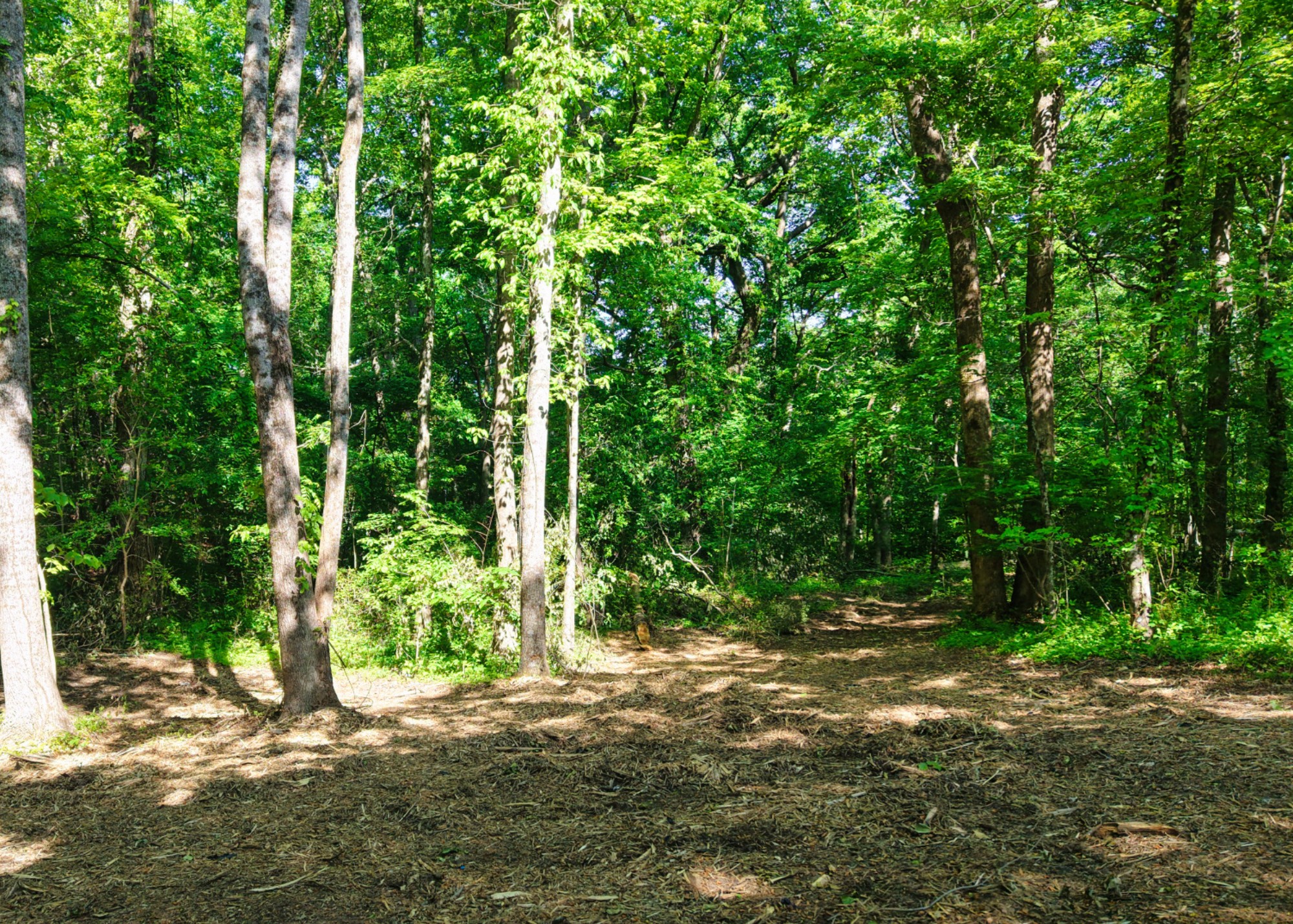 1622 Monteagle Falls Road Monteagle, TN 37356 - Photo 8 of 9