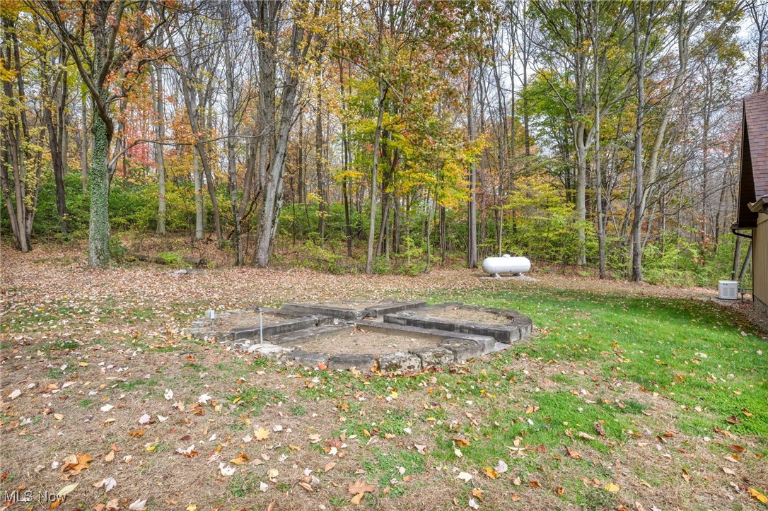 16340 Galehouse Road Doylestown, OH 44230 - Photo 16 of 50 View of yard