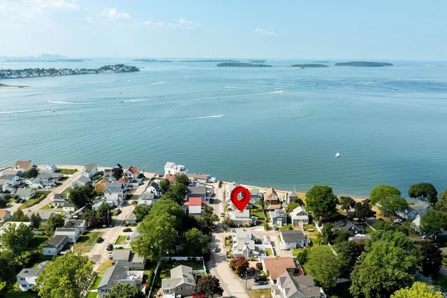 a view of a lake with a plant