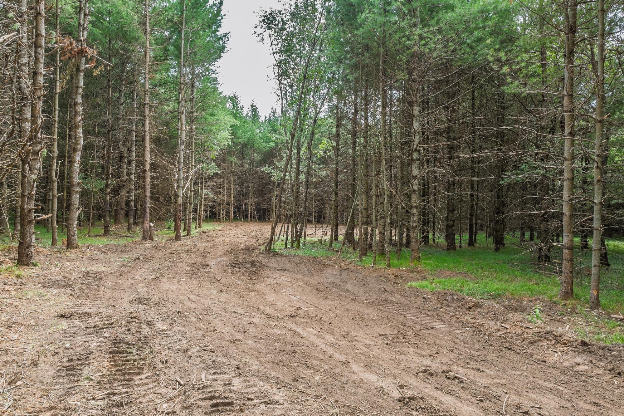 Off Church Road, Unit 2 Conover, WI 54519 - Photo 2 of 27