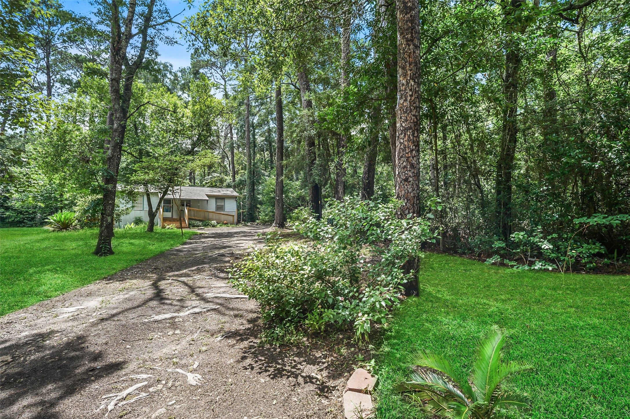 6387 Oak Knoll Road Montgomery, TX 77316 - Photo 5 of 30 a view of a garden with plants and trees