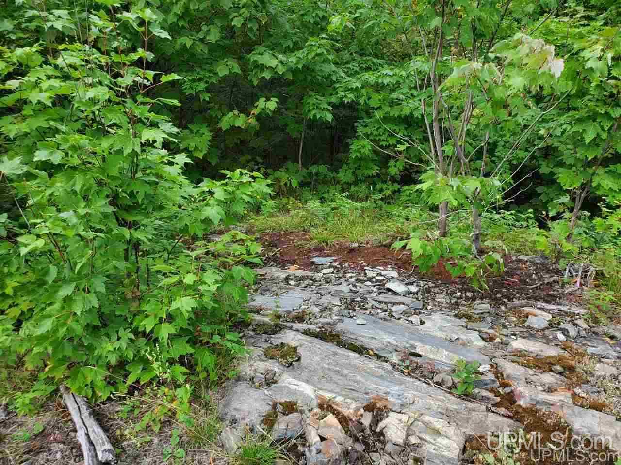 Tbd Tbd Holyoak Negaunee, MI 49866 - Photo 9 of 10