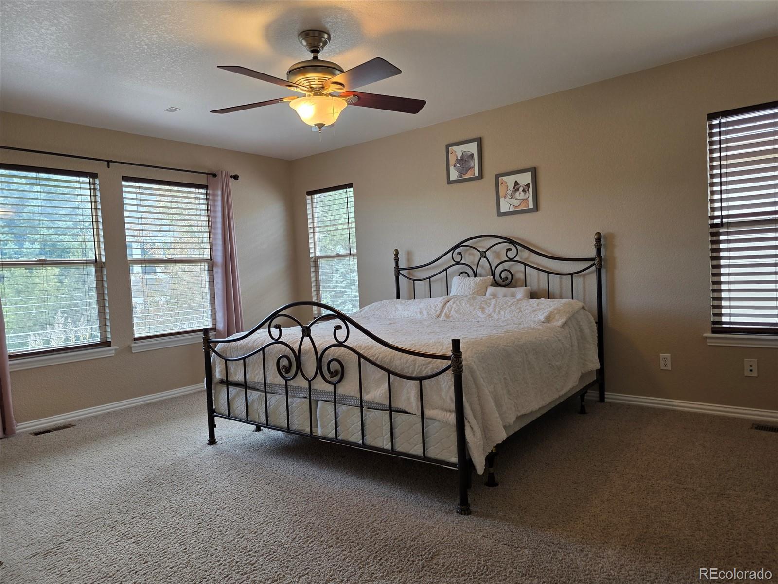 3430 Chandon Way Highlands Ranch, CO 80126 - Photo 22 of 42 Gallery Image 22