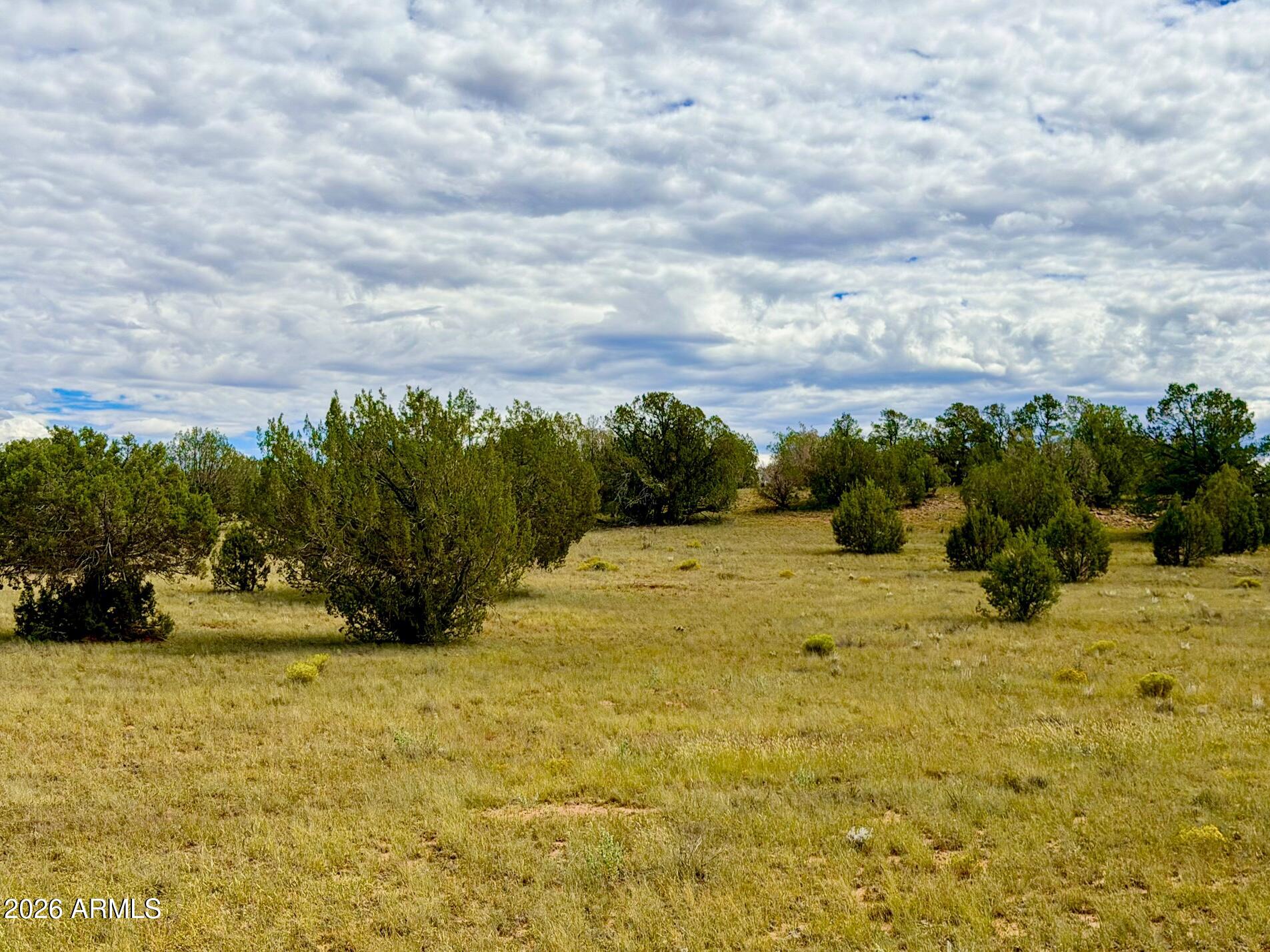 0 Dusty Rose Ranch Seligman, AZ 86337 - Photo 15 of 20 IMG_8133