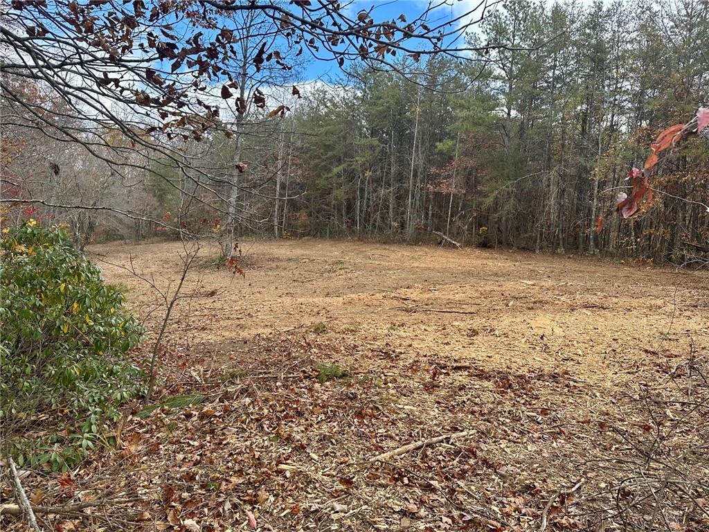 7567 Henderson Mountain Road Jasper, GA 30143 - Photo 12 of 19