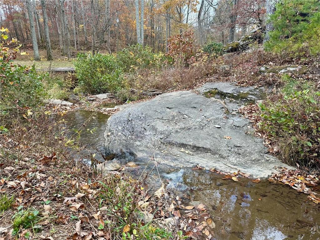 7567 Henderson Mountain Road Jasper, GA 30143 - Photo 13 of 19