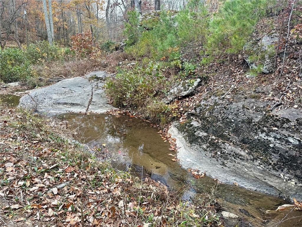 7567 Henderson Mountain Road Jasper, GA 30143 - Photo 14 of 19