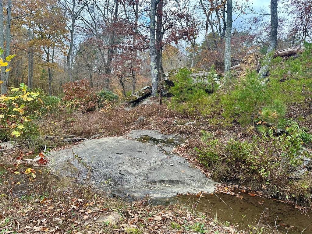 7567 Henderson Mountain Road Jasper, GA 30143 - Photo 15 of 19