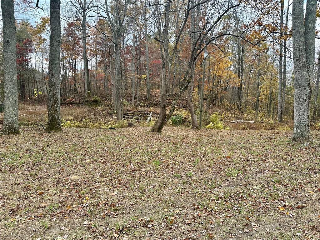 7567 Henderson Mountain Road Jasper, GA 30143 - Photo 18 of 19