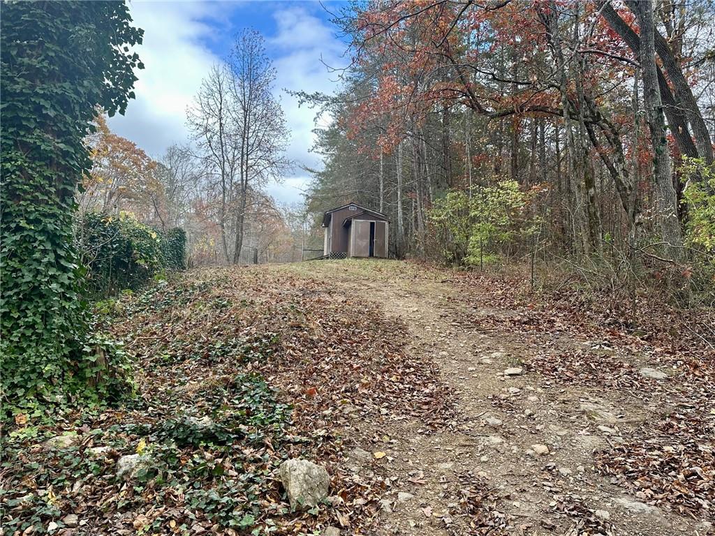 7567 Henderson Mountain Road Jasper, GA 30143 - Photo 6 of 19