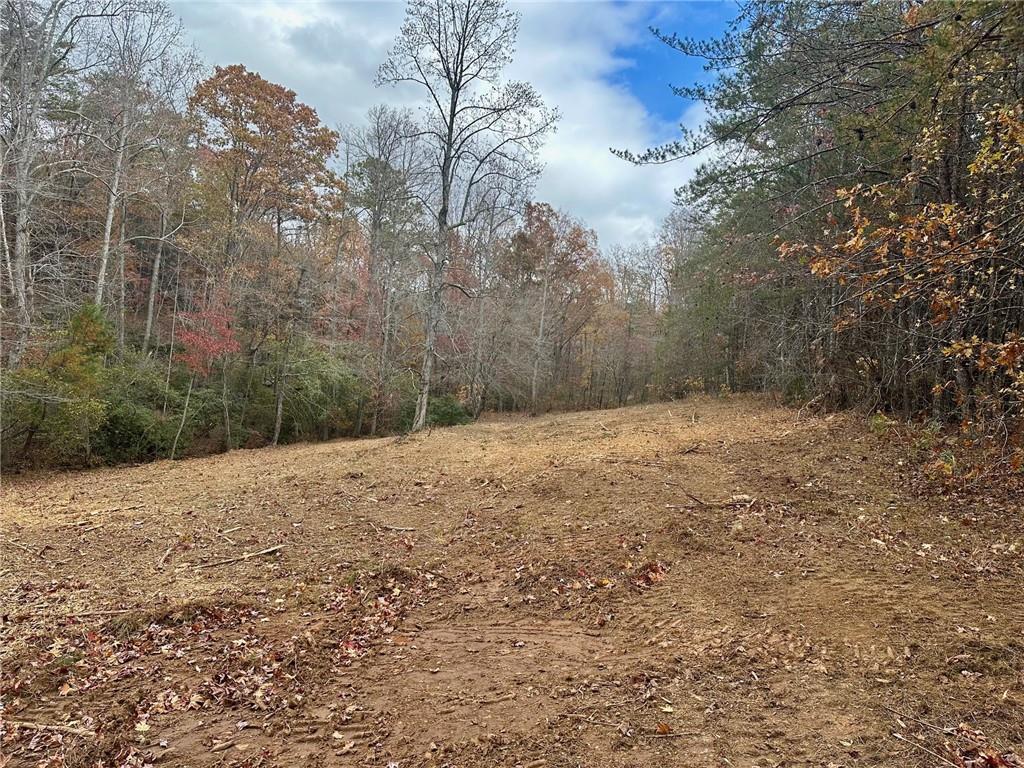 7567 Henderson Mountain Road Jasper, GA 30143 - Photo 8 of 19