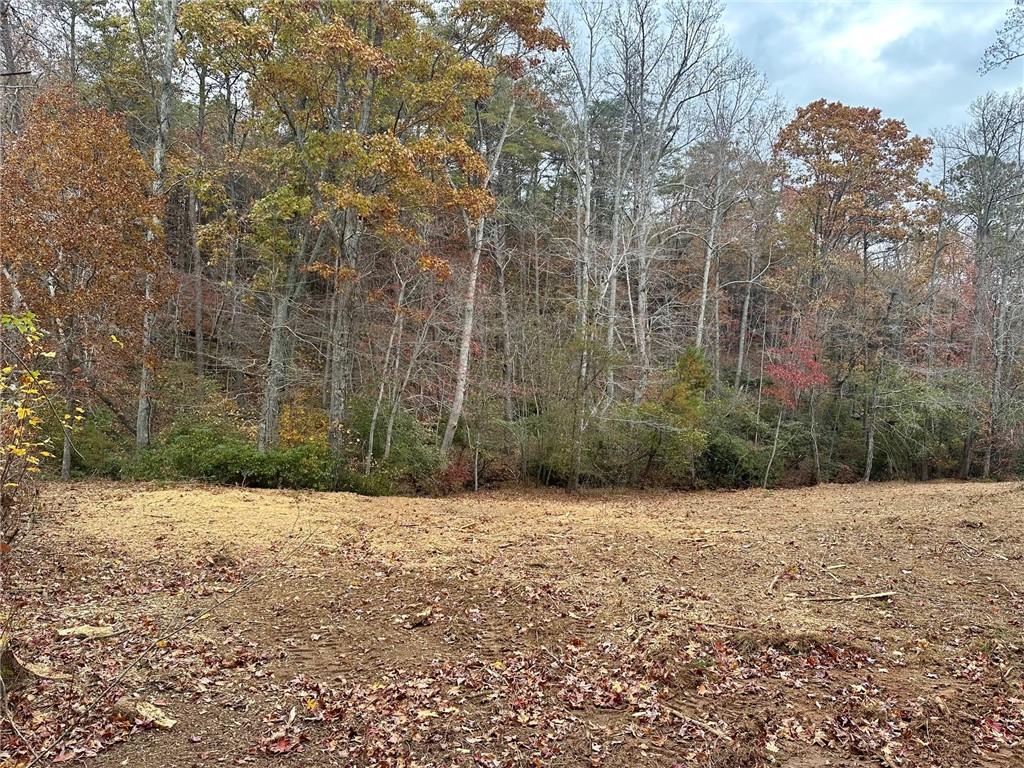 7567 Henderson Mountain Road Jasper, GA 30143 - Photo 9 of 19