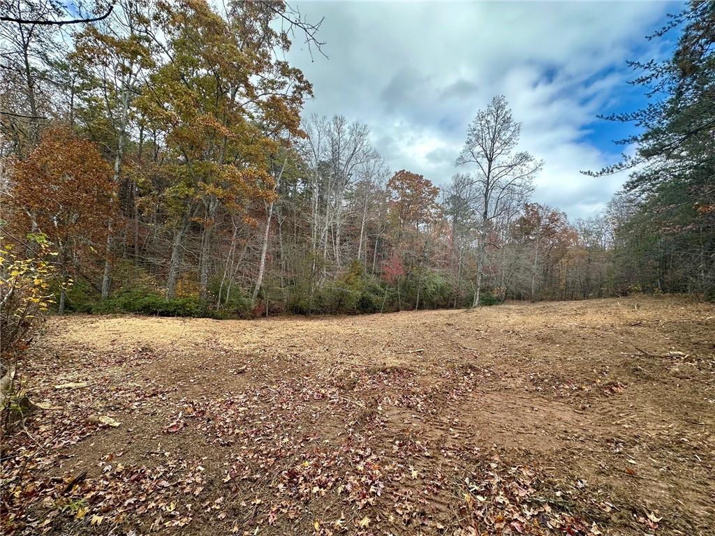 7567 Henderson Mountain Road Jasper, GA 30143 - Photo 10 of 19