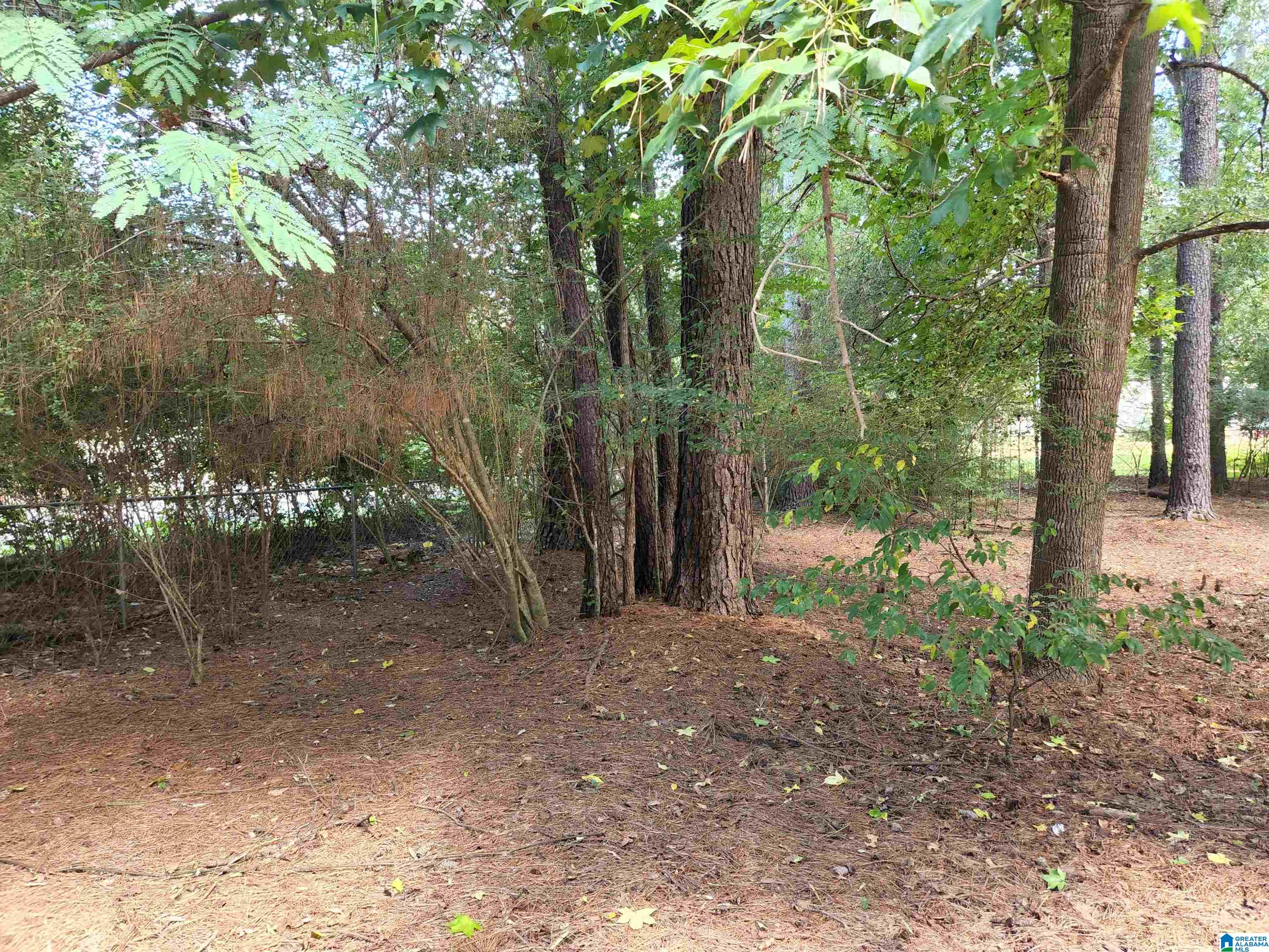 1 Monte Verde Lane Montevallo, AL 35115 - Photo 32 of 33