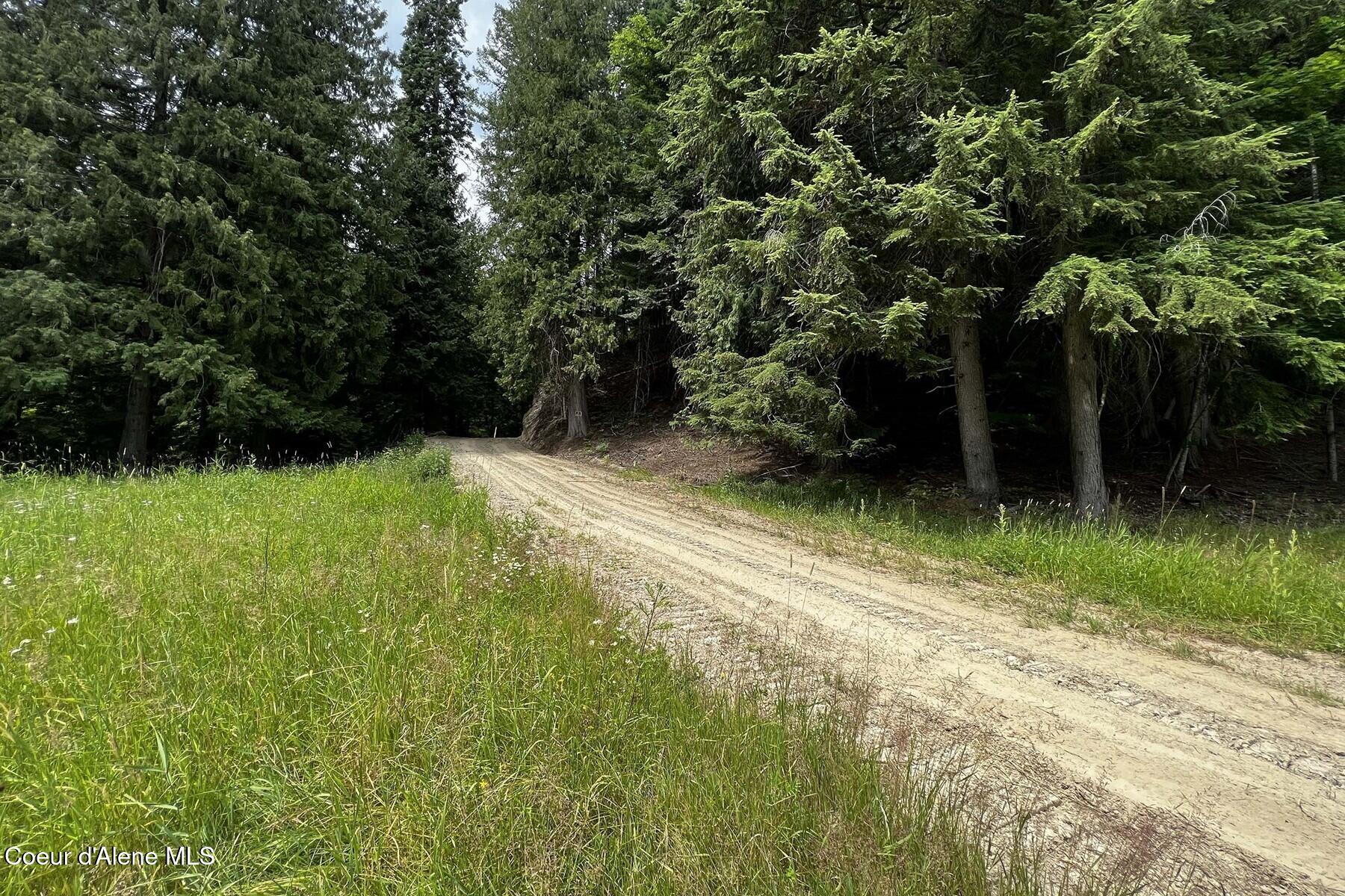 111 Wrenco Loop Sandpoint, ID 83864 - Photo 11 of 20 South Entrance Driveway