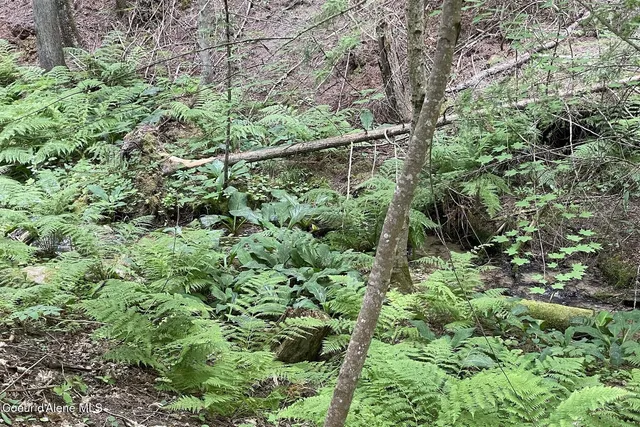 $900,000 | 111 Wrenco Loop, Sandpoint, ID 83864