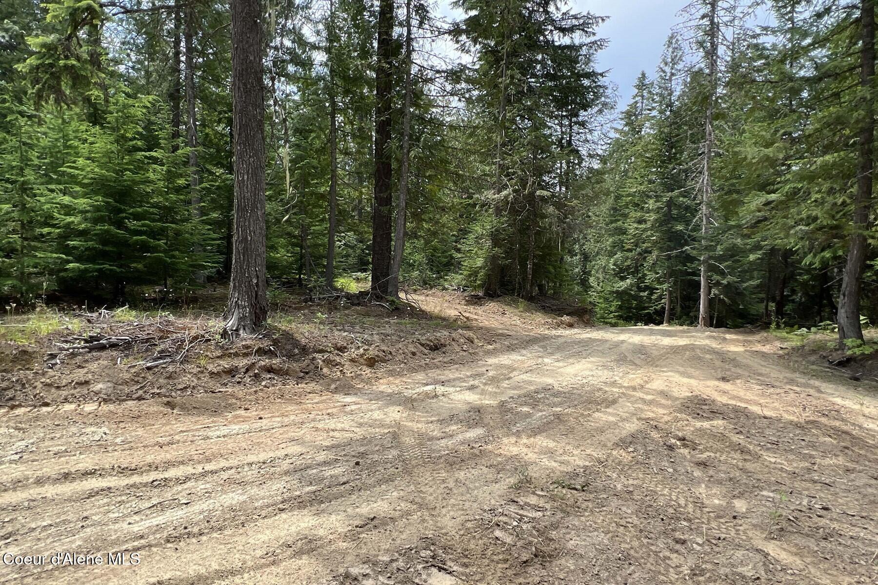 111 Wrenco Loop Sandpoint, ID 83864 - Photo 15 of 20 Northwest View Cleared Area