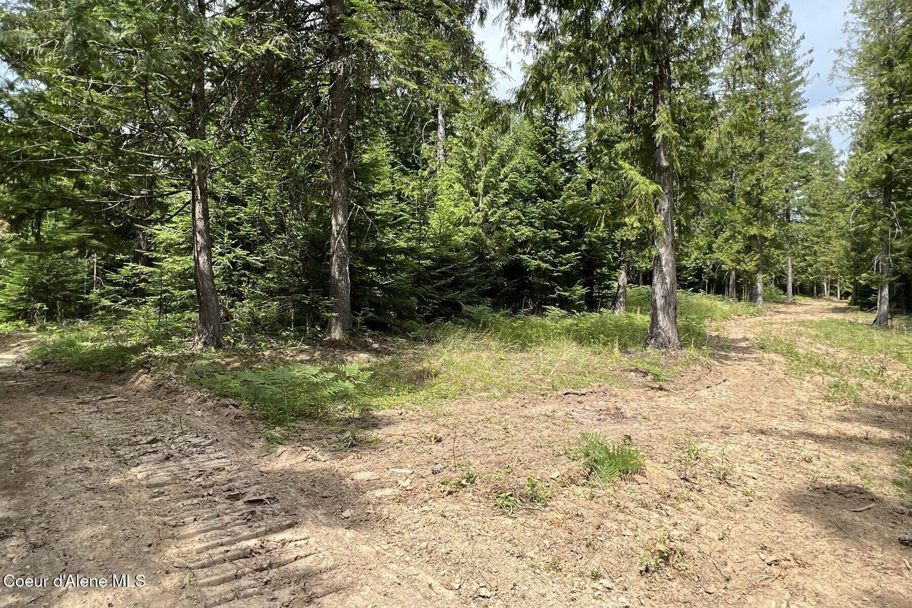 111 Wrenco Loop Sandpoint, ID 83864 - Photo 16 of 20 Northwest View