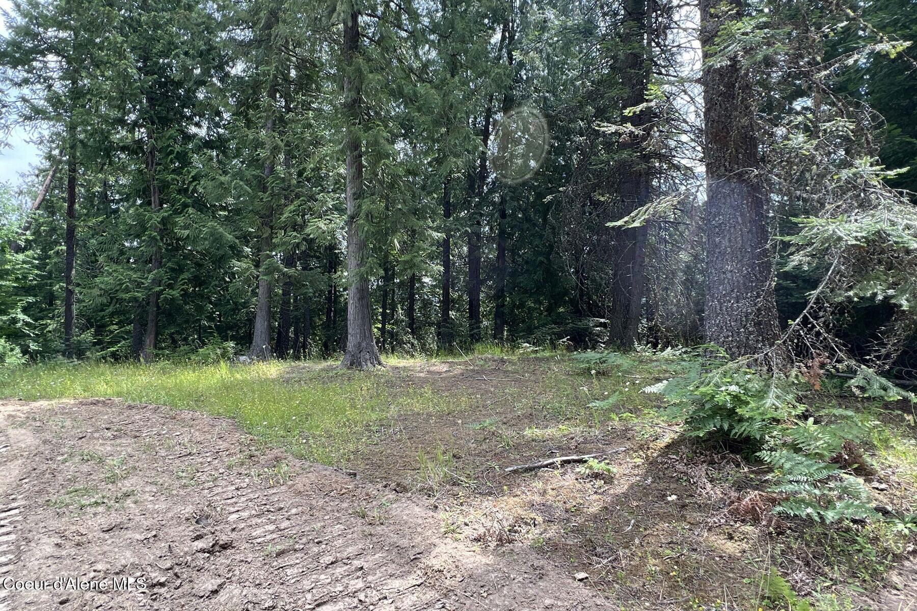 111 Wrenco Loop Sandpoint, ID 83864 - Photo 17 of 20 South Cleared Area