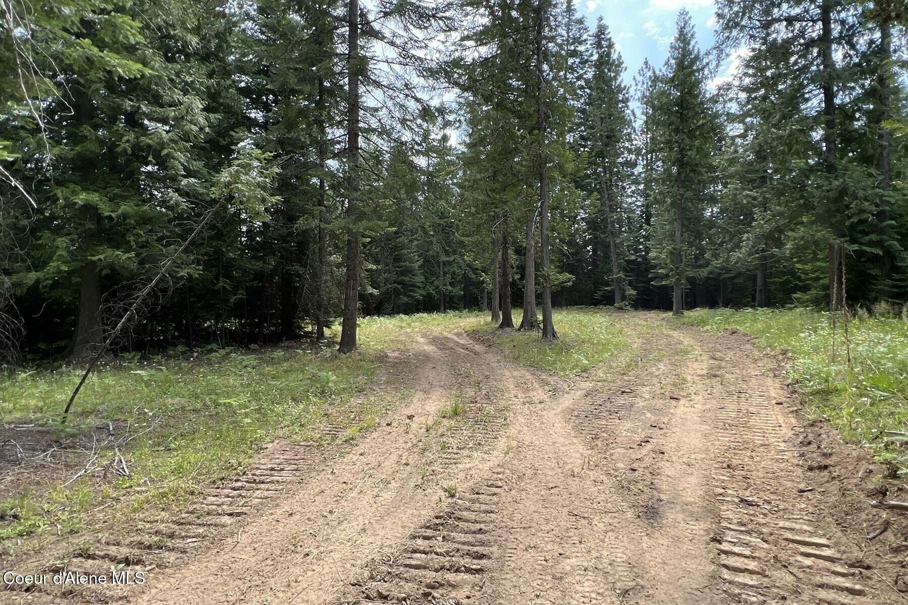 111 Wrenco Loop Sandpoint, ID 83864 - Photo 18 of 20 South View