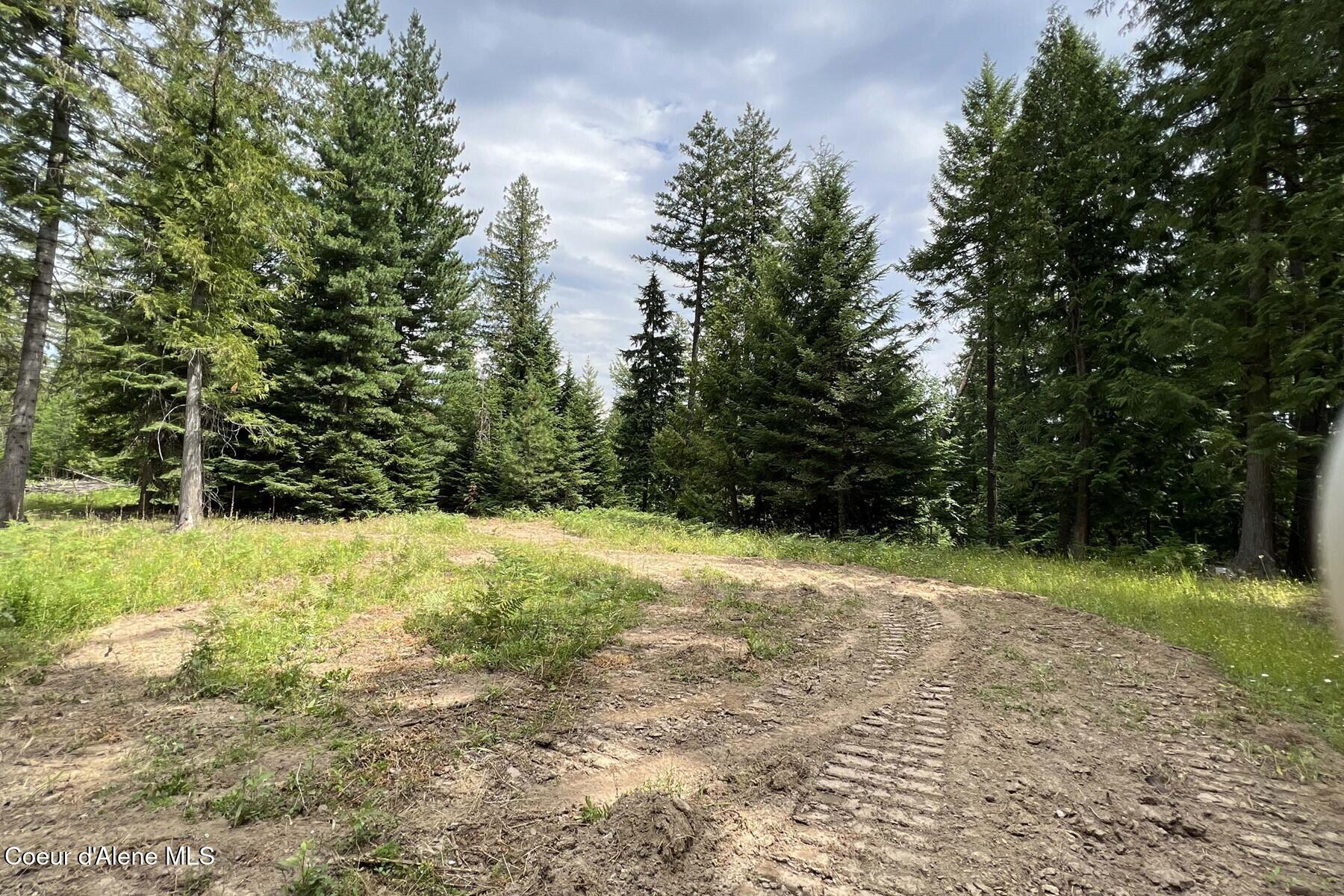 111 Wrenco Loop Sandpoint, ID 83864 - Photo 19 of 20 Southeast View Possible Building