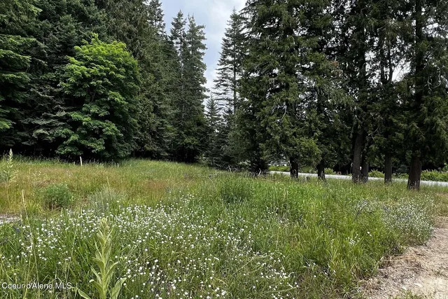 $900,000 | 111 Wrenco Loop, Sandpoint, ID 83864