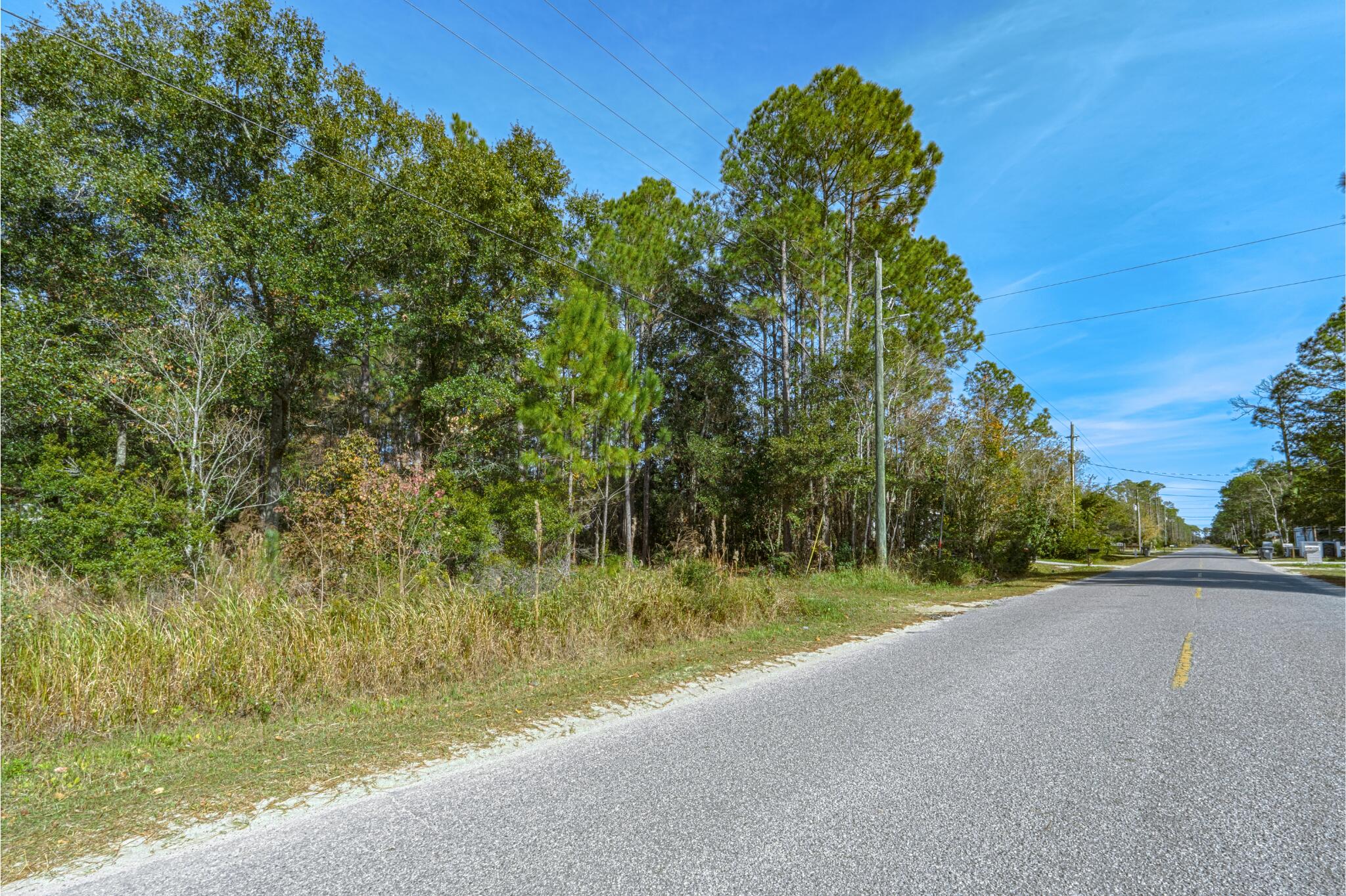 367 East Nursery Road Santa Rosa Beach, FL 32459 - Photo 3 of 19 a view of a yard with a tree