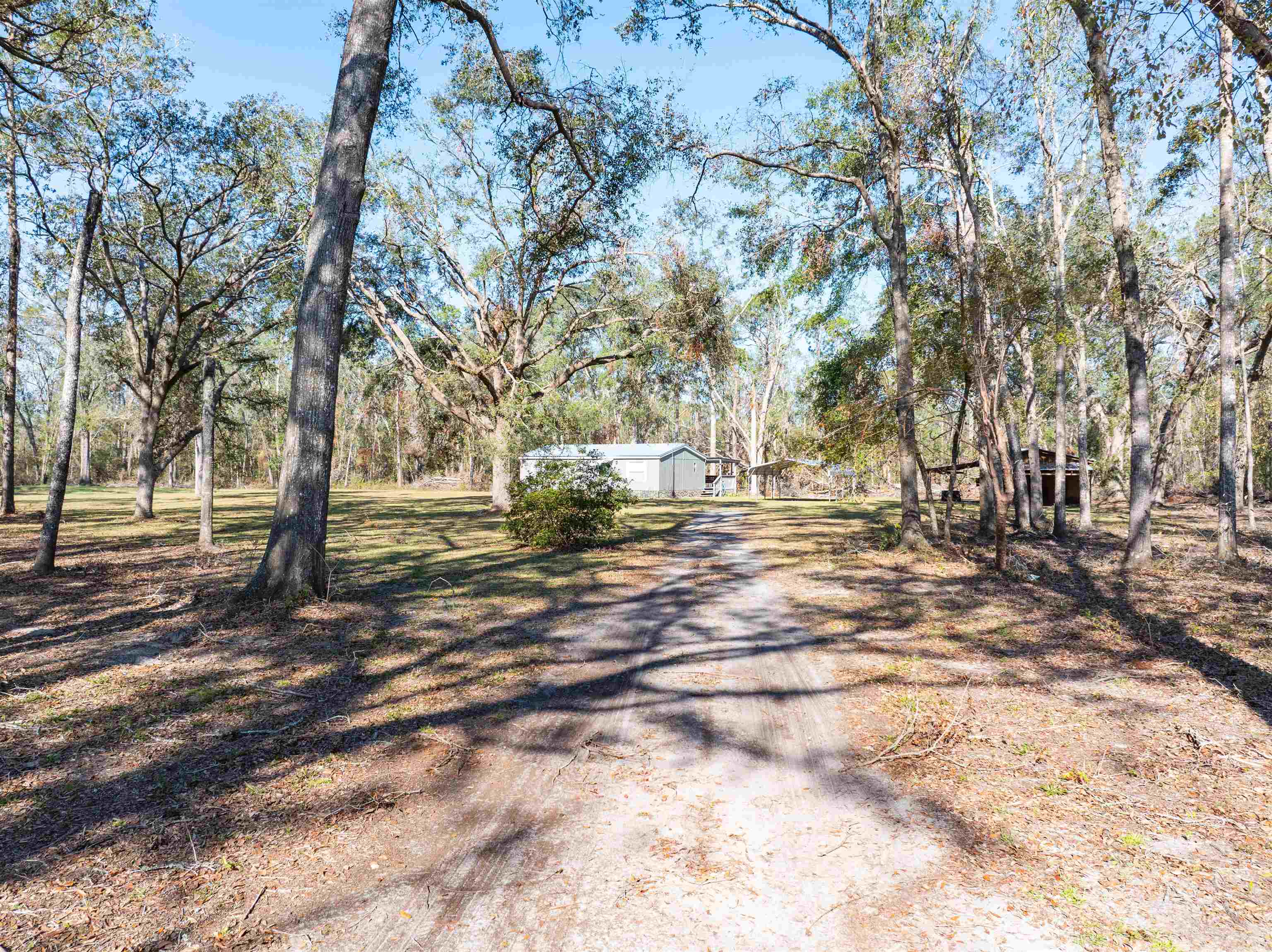 4717 Northeast Bellville Road Pinetta, FL 32350 - Photo 29 of 42 Gallery Image 29
