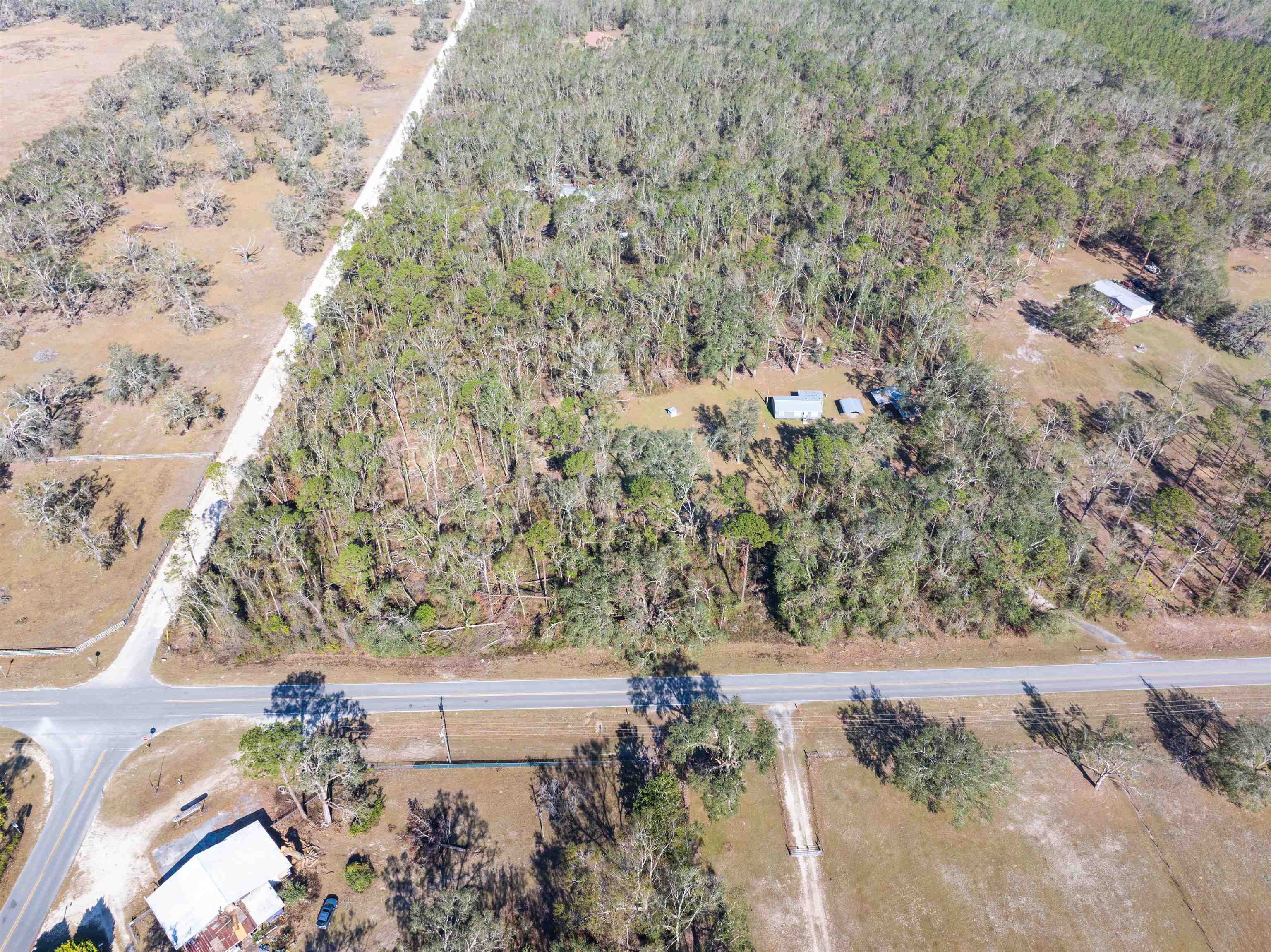 4717 Northeast Bellville Road Pinetta, FL 32350 - Photo 3 of 42 Gallery Image 3