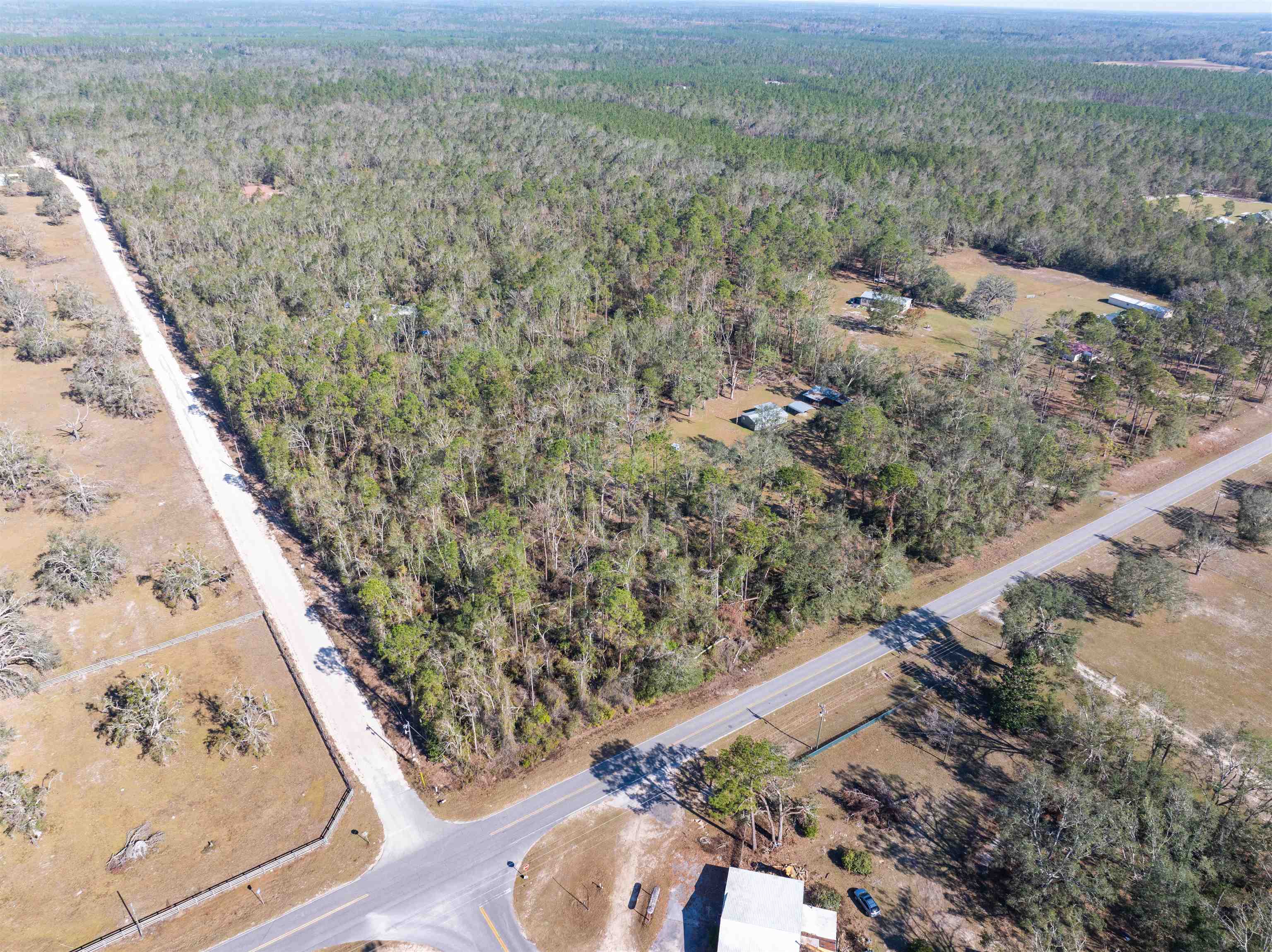 4717 Northeast Bellville Road Pinetta, FL 32350 - Photo 5 of 42 Gallery Image 5