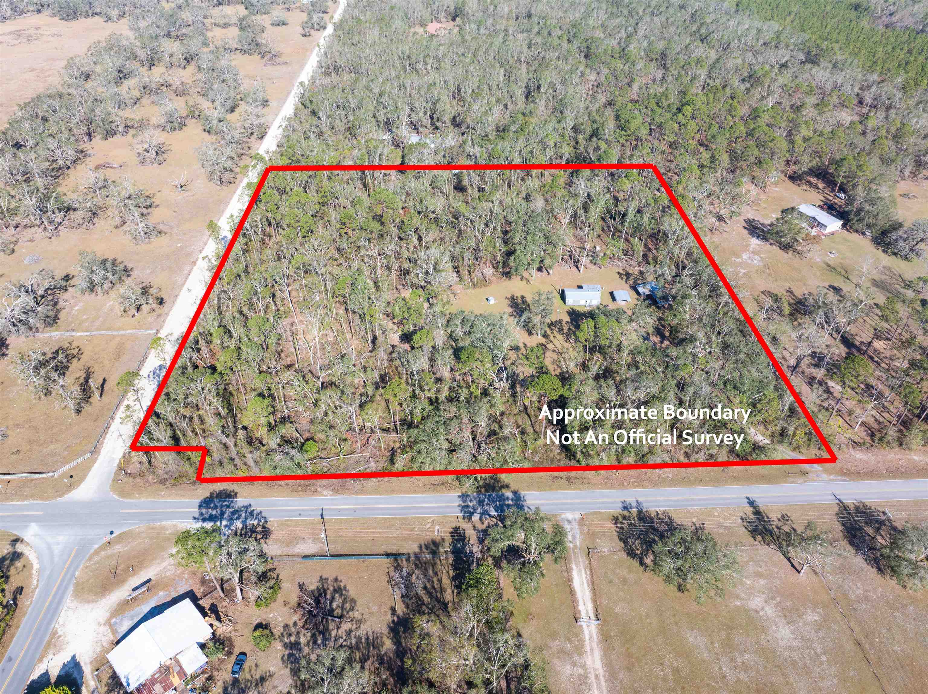 4717 Northeast Bellville Road Pinetta, FL 32350 - Photo 8 of 42 Gallery Image 8
