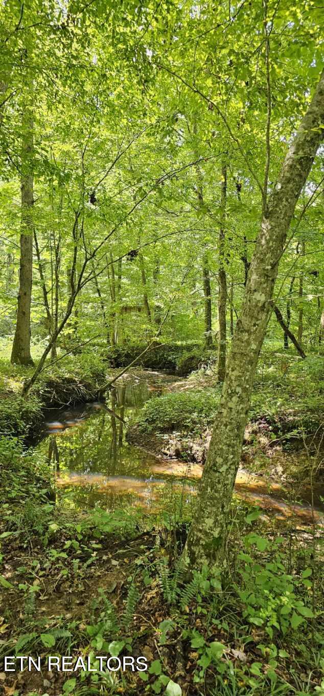 3219 Williams Oneida, TN 37841 - Photo 25 of 37 Resized_20250824_131247