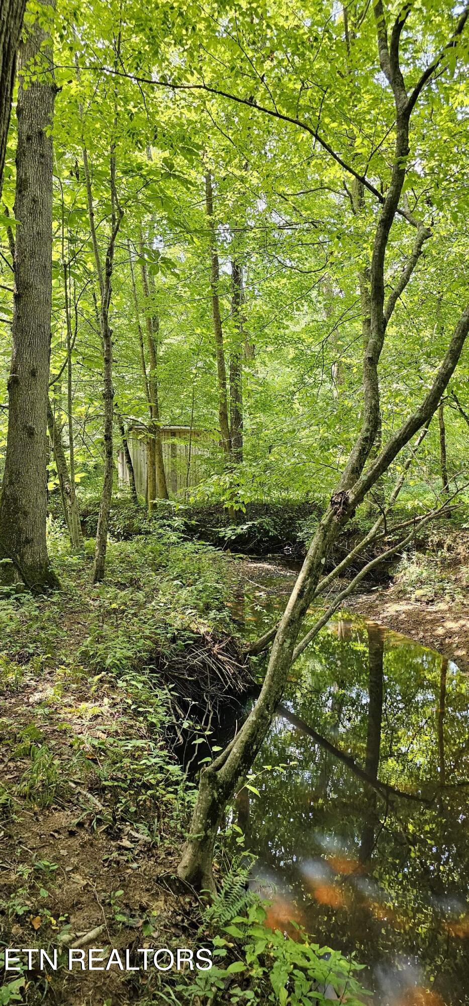 3219 Williams Oneida, TN 37841 - Photo 26 of 37 Resized_20250824_131306