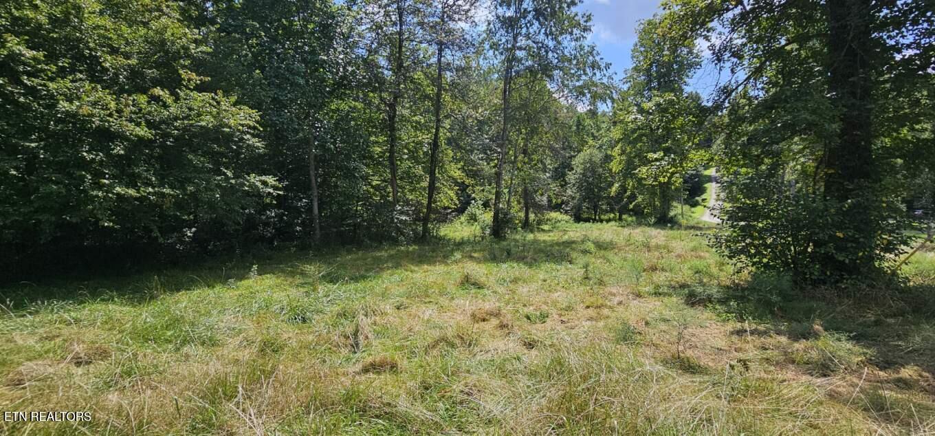 3219 Williams Oneida, TN 37841 - Photo 30 of 37 Resized_20250824_132245