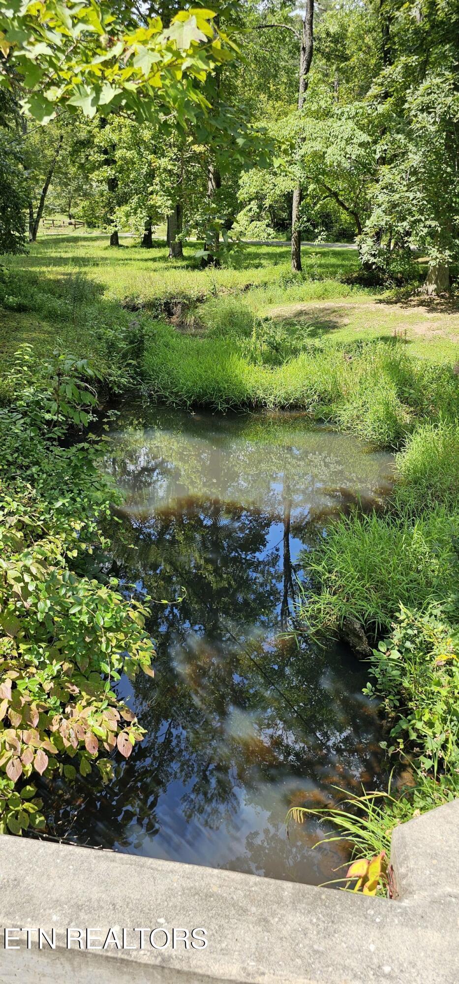 3219 Williams Oneida, TN 37841 - Photo 33 of 37 Resized_20250824_132611