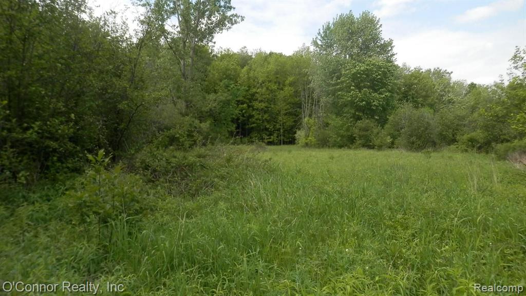 0 Mericle Road Avoca, MI 48006 - Photo 5 of 9