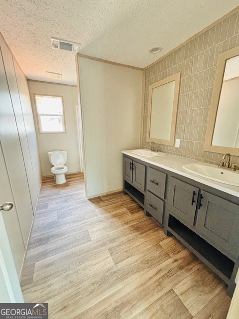 169 Lakeside Trail Martin, GA 30557 - Photo 10 of 19 a bathroom with a sink and a mirror