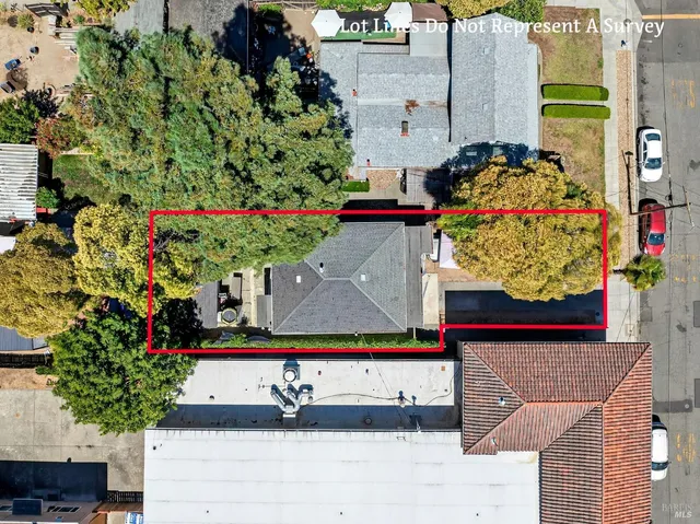 an outdoor space with lots of flowers