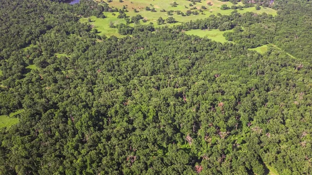 $574,000 | 143 Private Road 440, Buffalo, TX 75831