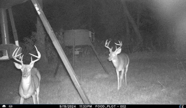 $574,000 | 143 Private Road 440, Buffalo, TX 75831